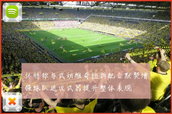 怀特称与武切维奇挡拆配合默契增强球队进攻武器提升整体表现
