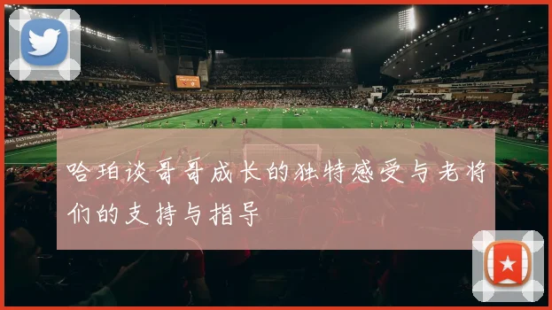 哈珀谈哥哥成长的独特感受与老将们的支持与指导