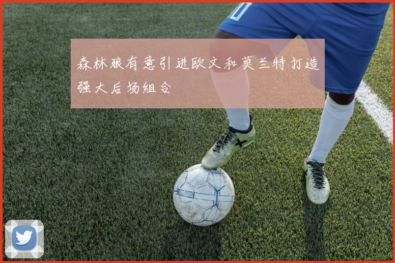 森林狼有意引进欧文和莫兰特打造强大后场组合