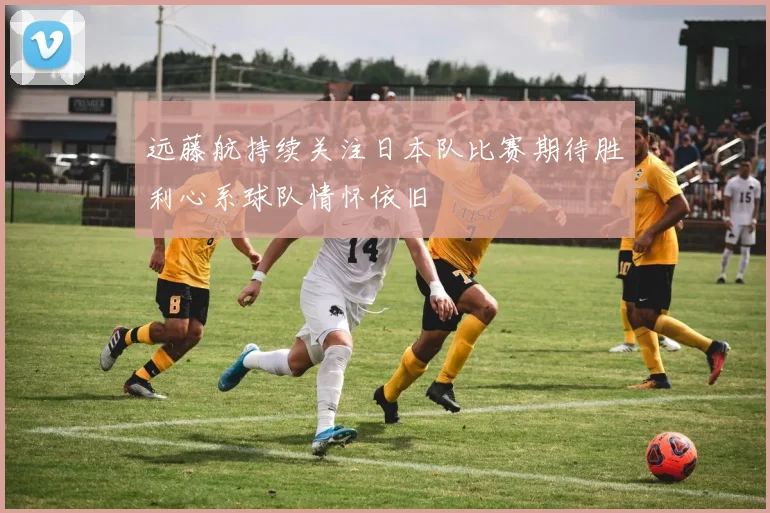远藤航持续关注日本队比赛期待胜利心系球队情怀依旧